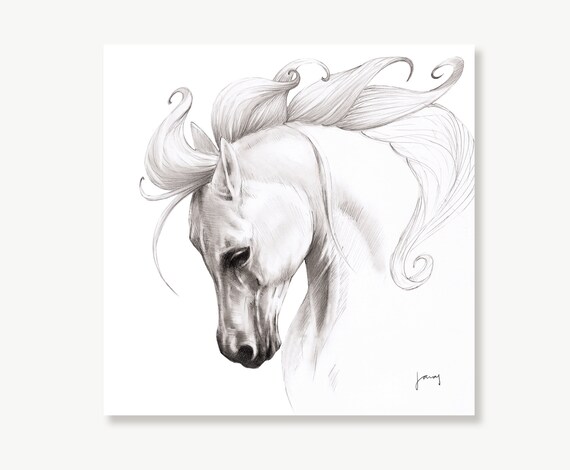 Horse Drawings for Sale  Fine Art America