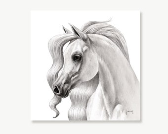 Arabian Horse Art Print, Realistic Pencil Drawing, White Horse Decor Wall Art, Black & White Animal Print, Equine Decor, Sketch, Horse Gift