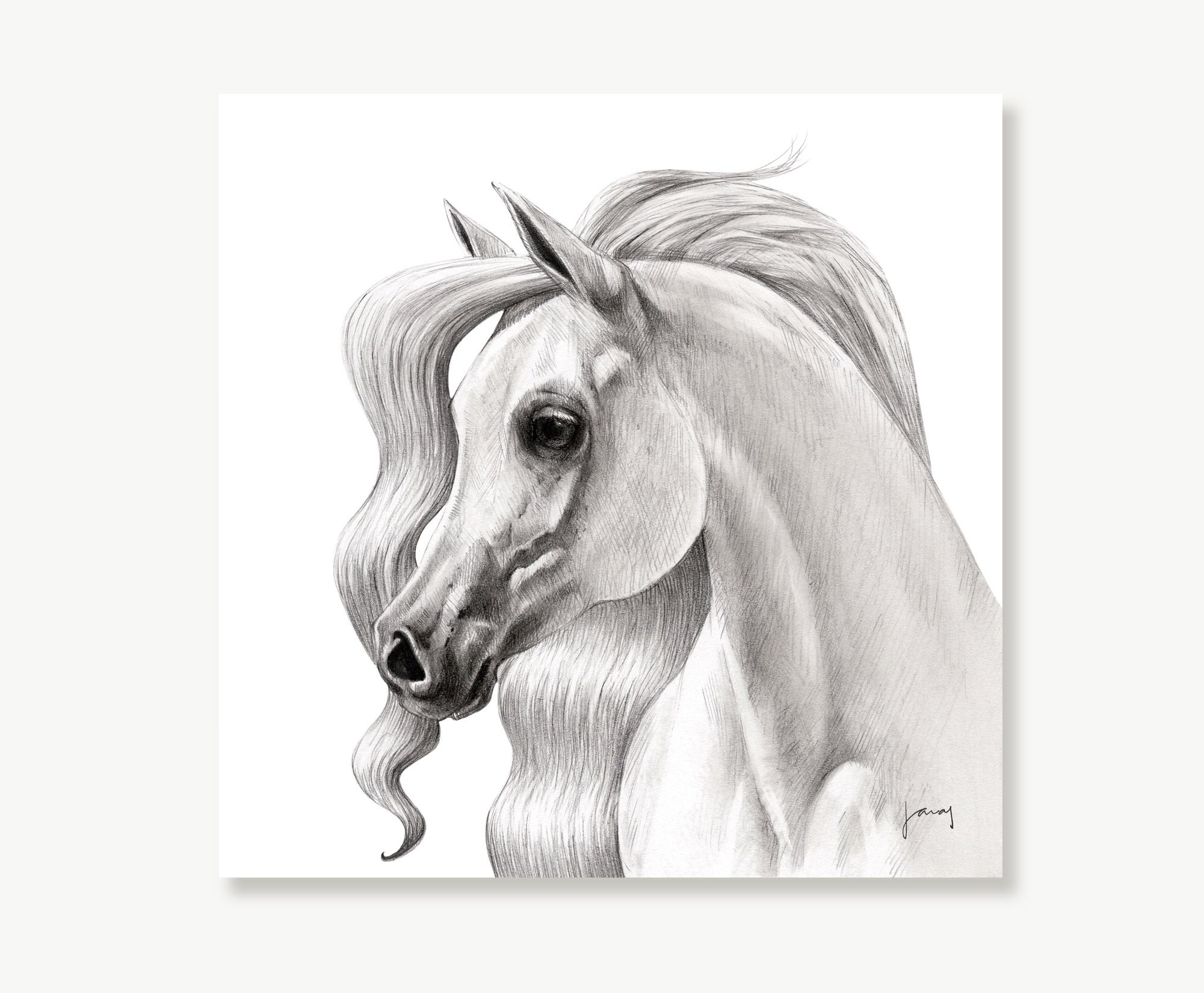 Dessin Cheval Realiste Noir Et Blanc Impression dart de cheval arabe dessin au crayon réaliste - Etsy Canada