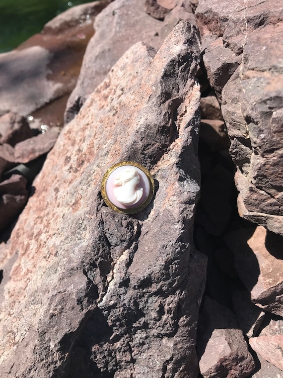 Diminutive Shell Cameo Brooch - image 1