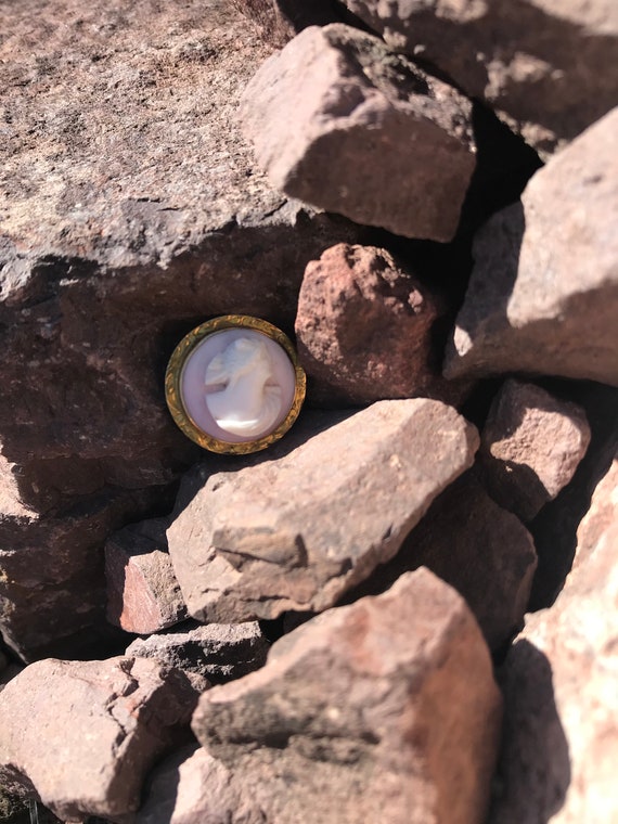 Diminutive Shell Cameo Brooch - image 2