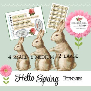 May include: A digital download of 13 printable images featuring bunnies in various sizes. The images include the text "Hello Spring" and "Gardening feeds my soul". There are also several images with the text "Happy Easter".