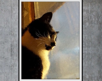 Cat kitten in sun print poster - cat kitten in morning sunshine oil painting print