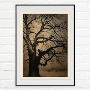 Leon Spilliaert - Kunstdruck Poster, Baum im Winter, Boom im Winter, winterlicher, kahler Baum, Kohlestiftkunst