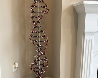 Teaching DNA Model, 6 feet tall (1 m 83 cm) for Classroom, Medical Office and Home.