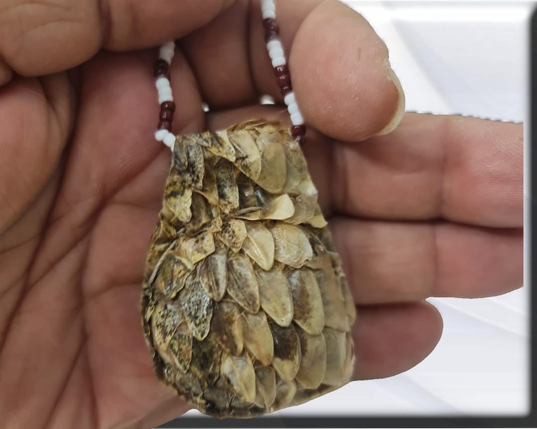 African Snake Amulet Vodun Dan Attraction Fortune, Temple of the Python ...