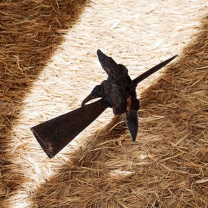 Puede incluir: Una herramienta de metal oxidado con un mango largo y una punta afilada. La herramienta está sobre un lecho de paja.