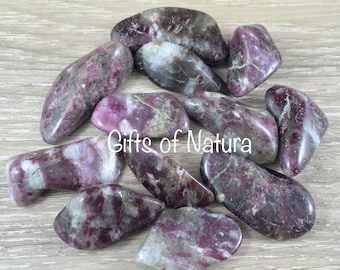 Tumbled Natural Pink Tourmaline - Smooth, Tumbled - From Madagascar - 2 sizes to choose - *LOVE&quot; - &quot;EMOTIONAL HEALING&quot; - Heart Chakra