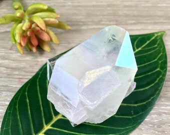 現在、この商品の在庫はありません - Etsy