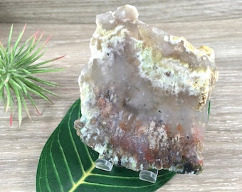 2.75" Nyssa Plume Agate - Natural, Rough Edge, Unpolished - True Beauty of Nature!