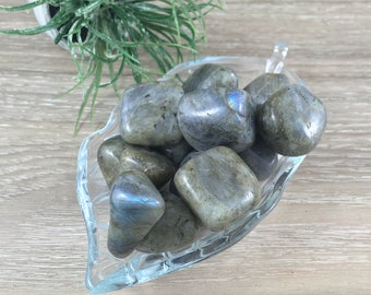 Labradorite (Light Grey) / Spectrolite - Tumbled Stones - Smooth, Polished - *Stone of Magic* - Reiki Healing