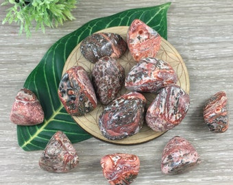 Leopardskin Orbicular Jasper Tumbled Stones -  Smooth, Hand-Polished - Natural - *Inner Voice* - *Shamanic Travel* - Reiki Healing