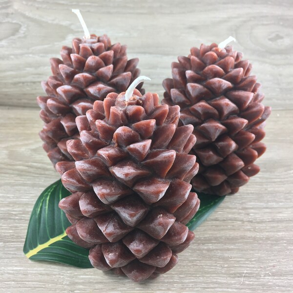 Ponderosa Pine Cone Kerze - 100% reiner Bienenwachshonig - Handgefertigt aus dem Westen Kanadas - Bienenfreundlich - 25 bis 30 Stunden Brenndauer