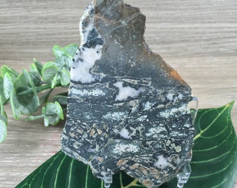 3 25 Moss Agate Slab Natural No Dyes Unpolished Etsy
