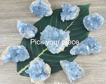 3.5" Celestite Geode (19.7oz) - Sparkling! - Rough - Exact Piece - Natural, No Dyes - *Serenity* - *Angelic Communication* - Throat Chakra