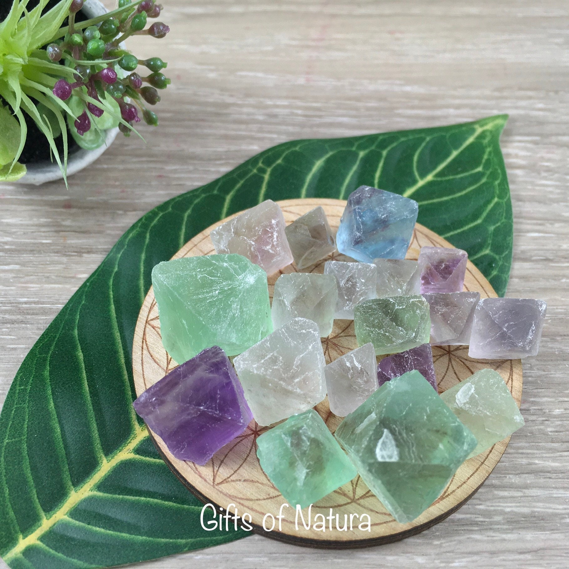 Fluorite Octahedrons - 100% Natural, Raw, Unpolished - "Mental Clarity" - "Clear Energy" - "Decision-Making"
