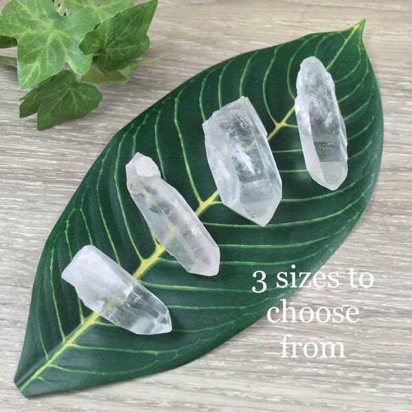 Lemurian Seed Crystal - YOU PICK - Raw, Unpolished, Amazing Energy - *Silver Light* - *Connection with Divine Feminine"