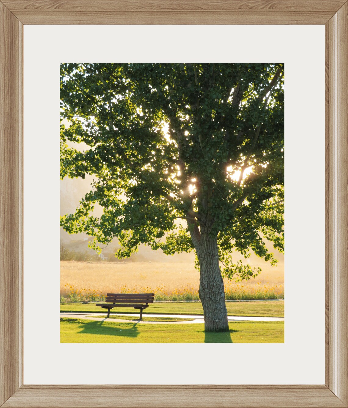Nature Photograph trees Printable Art Peaceful Summer Morning - Etsy