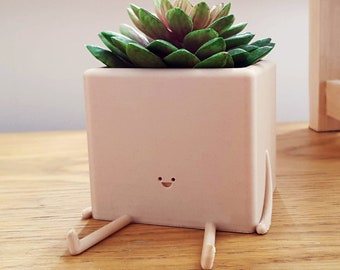 Box Pot | Cute Plant Pot | Plant Pot | Sitting Planter | Cute Planter | Planter Character | Indoor Planter | Cactus Planter|Succulent Active