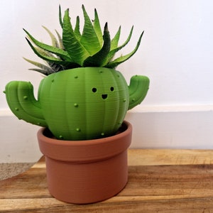 Pode incluir: Um vaso verde em forma de cacto com um rosto sorridente, contendo uma planta suculenta. O vaso está em um vaso cor de terracota. A suculenta tem folhas verdes e brancas. O vaso tem pequenas protuberâncias redondas e duas protuberâncias em forma de braço.