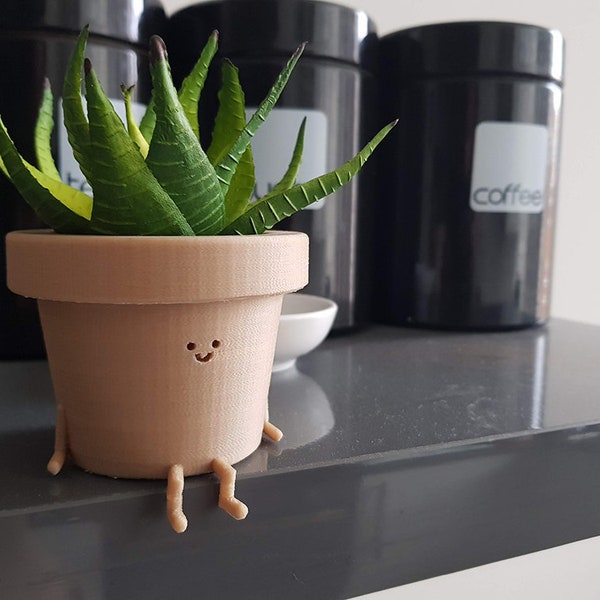 Cute Sitting Plant Pot | Character Succulent Planter