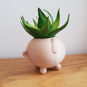 Pig Planter Piggy Planter Animal Planter Cute Planter Indoor Planter Cactus Planter Gift Present Container Pot Succulent image 9