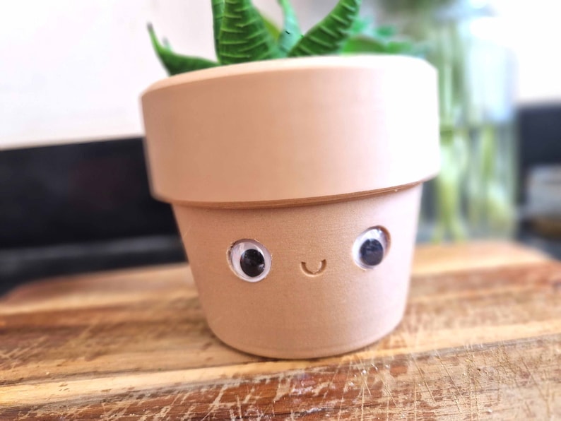 Googly Eyes Planter | Desk Tidy, Smiling Face Cactus Pot - Etsy