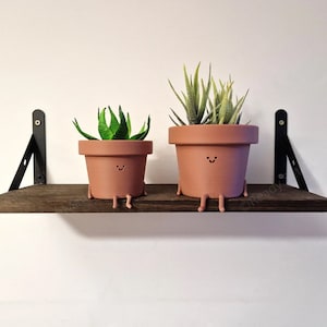May include: Two potted plants with smiling faces on a wooden shelf. The plants are in terracotta pots with brown paint and have green leaves.