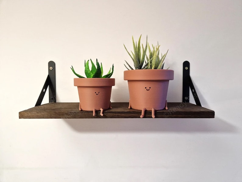 May include: Two potted plants with smiling faces on a wooden shelf. The plants are in terracotta pots with brown paint and have green leaves.
