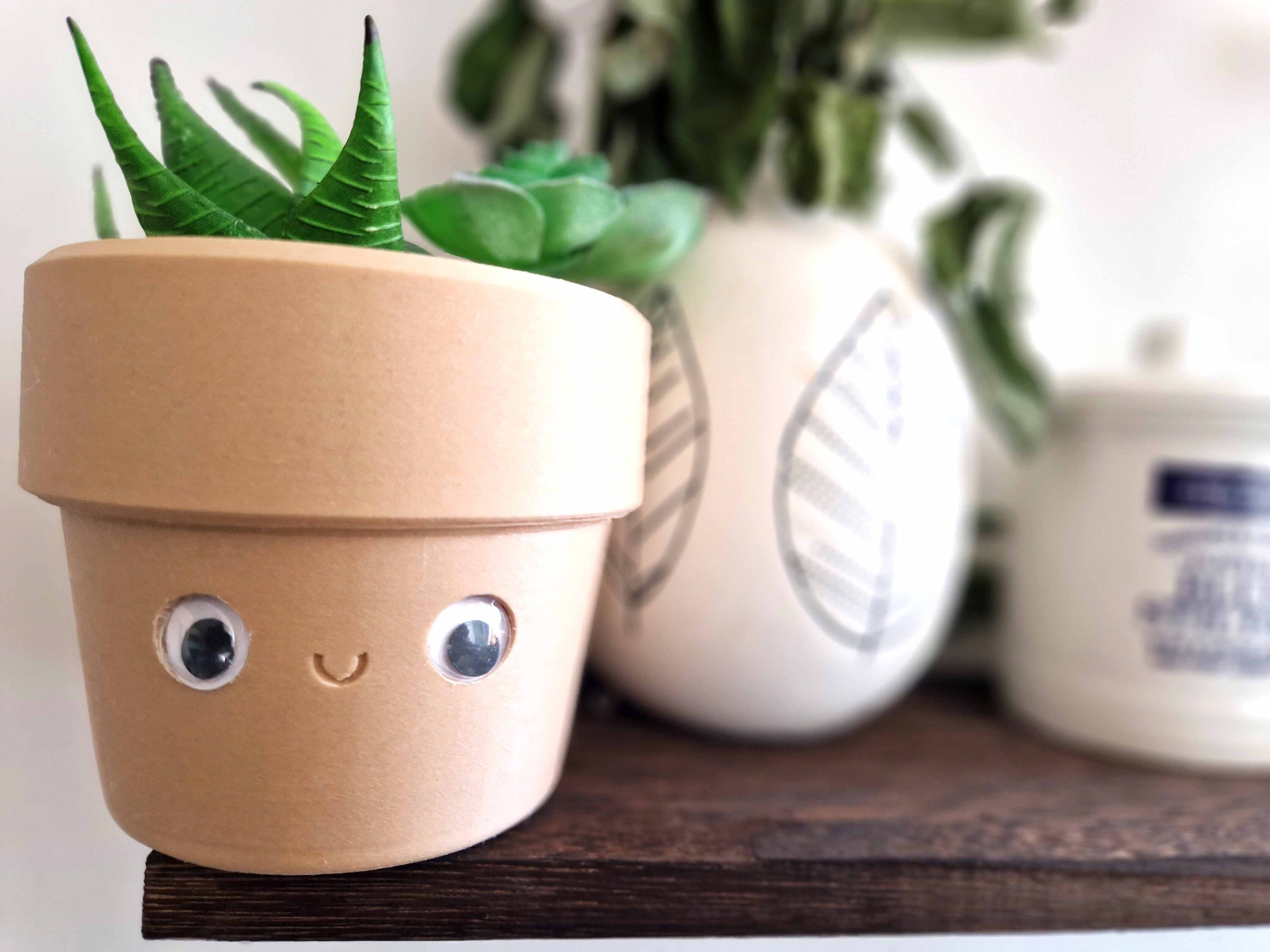 Googly Eyes Planter | Desk Tidy, Smiling Face Cactus Pot - Etsy