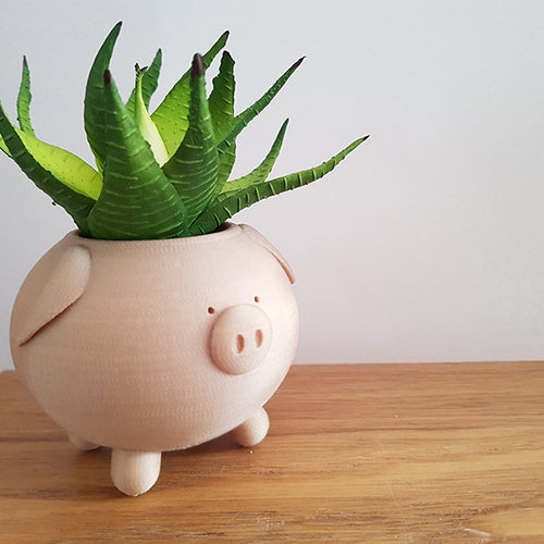 Cute Pig Planter | Indoor Succulent, Cactus Pot