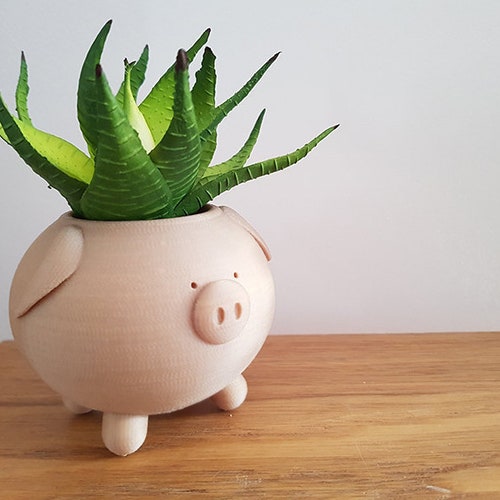 Pig Planter | Piggy Planter | Animal Planter | Cute Planter | Indoor Planter | Cactus Planter | Gift | Present | Container | Pot | Succulent