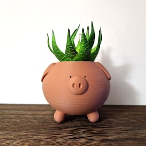 Pig Planter Piggy Planter Animal Planter Cute Planter Indoor Planter Cactus Planter Gift Present Container Pot Succulent image 7