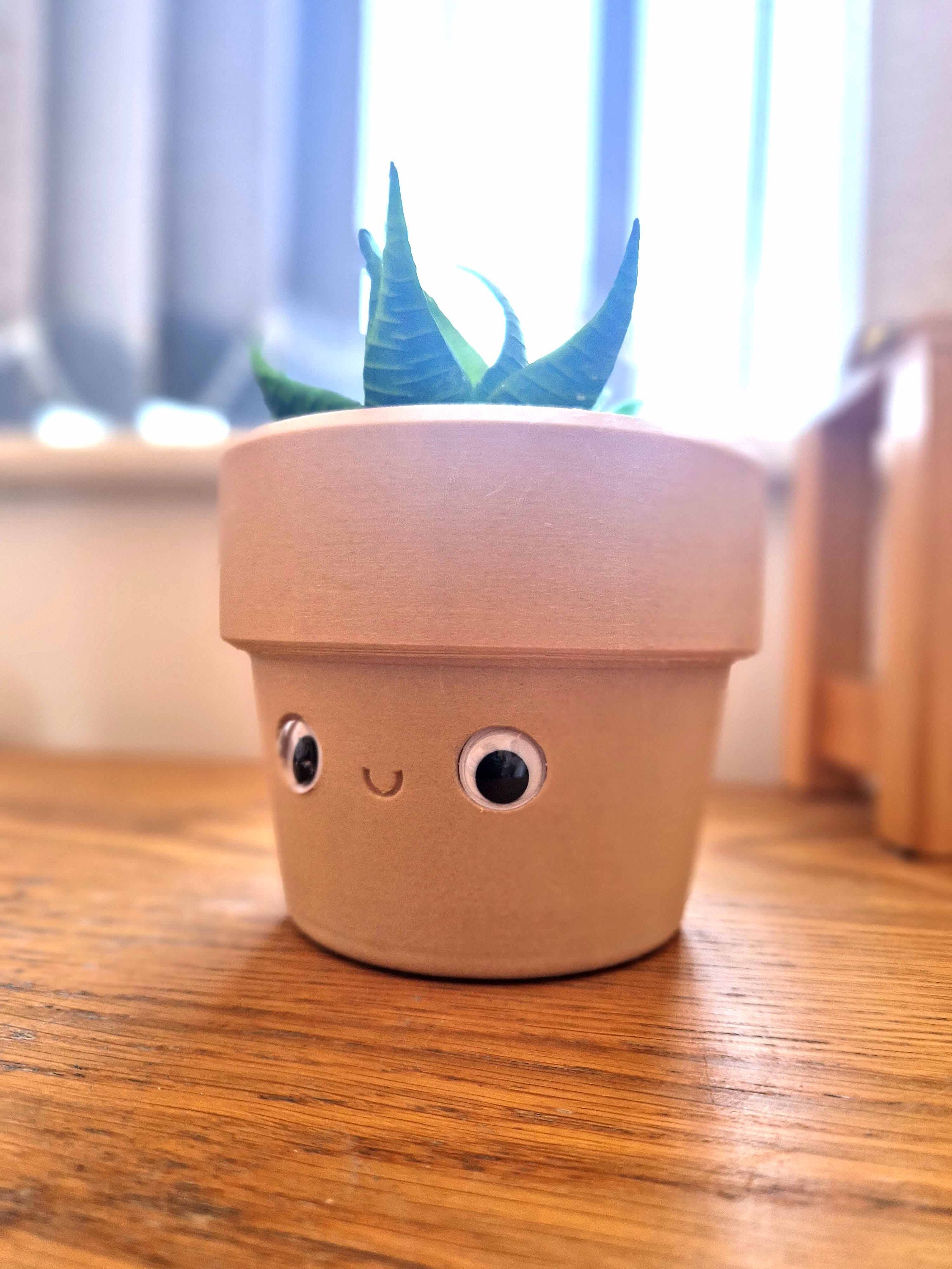 Googly Eyes Planter | Desk Tidy, Smiling Face Cactus Pot - Etsy