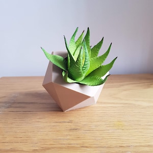 Jardinière géométrique pour succulentes : pot hexagonal moderne à faible teneur en poly