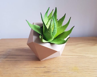 Geometric Succulent Planter: Modern Low Poly Hexagonal Pot