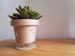 Standing plant Pot | Cute Plant Pot | Plant Pot | Standing Planter | Cute Planter |Planter Character|Indoor Planter|Cactus Planter|Succulent