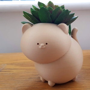 Peut inclure: Un pot en céramique rose clair en forme de chat avec une plante succulente verte qui pousse au sommet.
