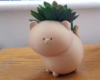 Cat Planter | Cute Plant Pot | Plant Pot | Sitting Planter | Cute Planter | Planter Character | Indoor Planter | Cactus Planter | Succulent