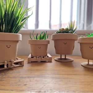 May include: Four small potted plants with smiling faces. The plants are on wooden stands and have different types of greenery.