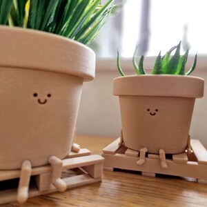 May include: Three potted plants with smiling faces, each sitting on a small wooden pallet. The plants are in brown pots and have green leaves.