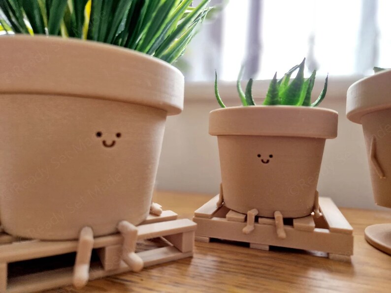 May include: Three potted plants with smiling faces, each sitting on a small wooden pallet. The plants are in brown pots and have green leaves.
