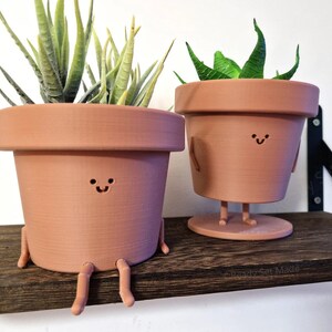 May include: Two terracotta flower pots with smiling faces and legs. The pots are on a dark brown wooden shelf. The plant in the left pot has green leaves. The plant in the right pot has green leaves and is standing on a round base.