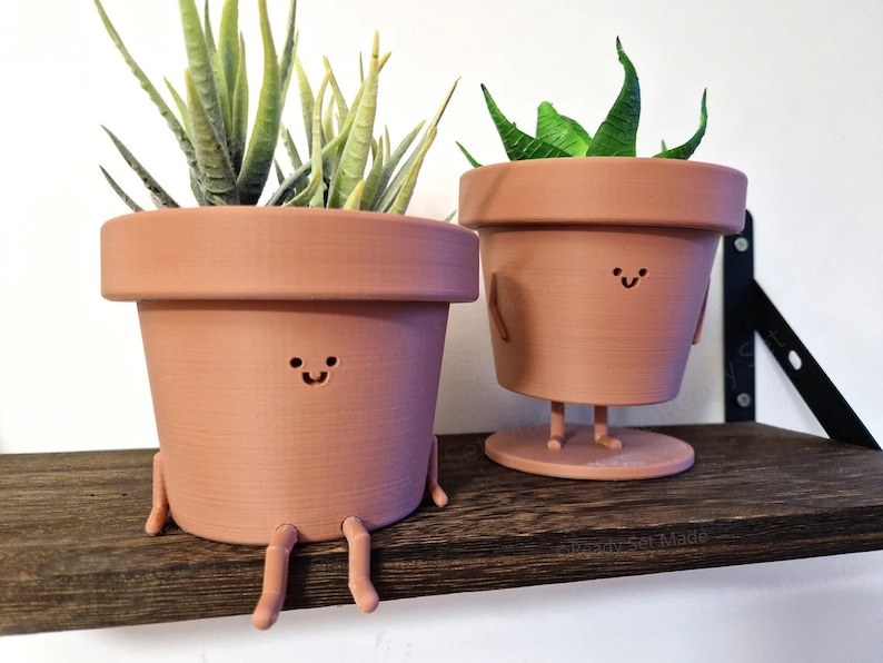 May include: Two terracotta flower pots with smiling faces and legs. The pots are on a dark brown wooden shelf. The plant in the left pot has green leaves. The plant in the right pot has green leaves and is standing on a round base.