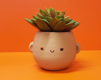 Smiley Face Planter | Desk Tidy Pot
