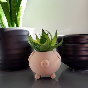 Pig Planter Piggy Planter Animal Planter Cute Planter Indoor Planter Cactus Planter Gift Present Container Pot Succulent image 4