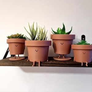 May include: Four terracotta pots with smiling faces and small plants are displayed on a dark brown shelf. The pots have small legs and are arranged in a row.