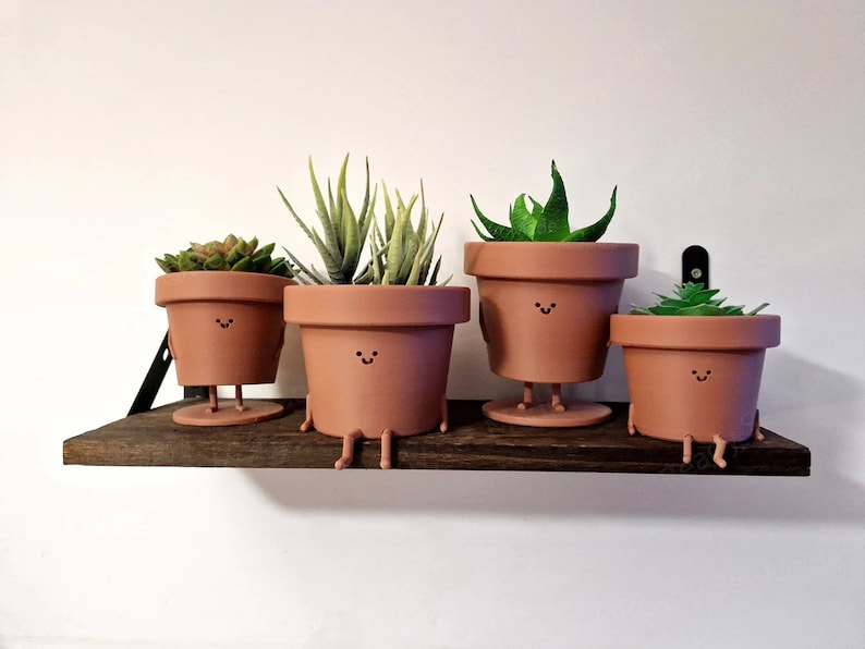 May include: Four terracotta pots with smiling faces and small plants are displayed on a dark brown shelf. The pots have small legs and are arranged in a row.