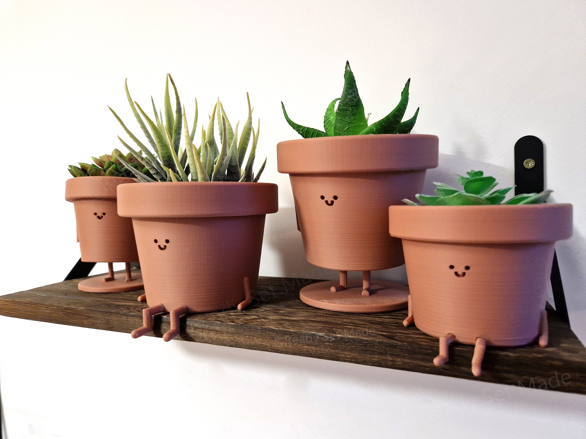 Some cute 'Pot' Holders with a cute succulent🌱💚