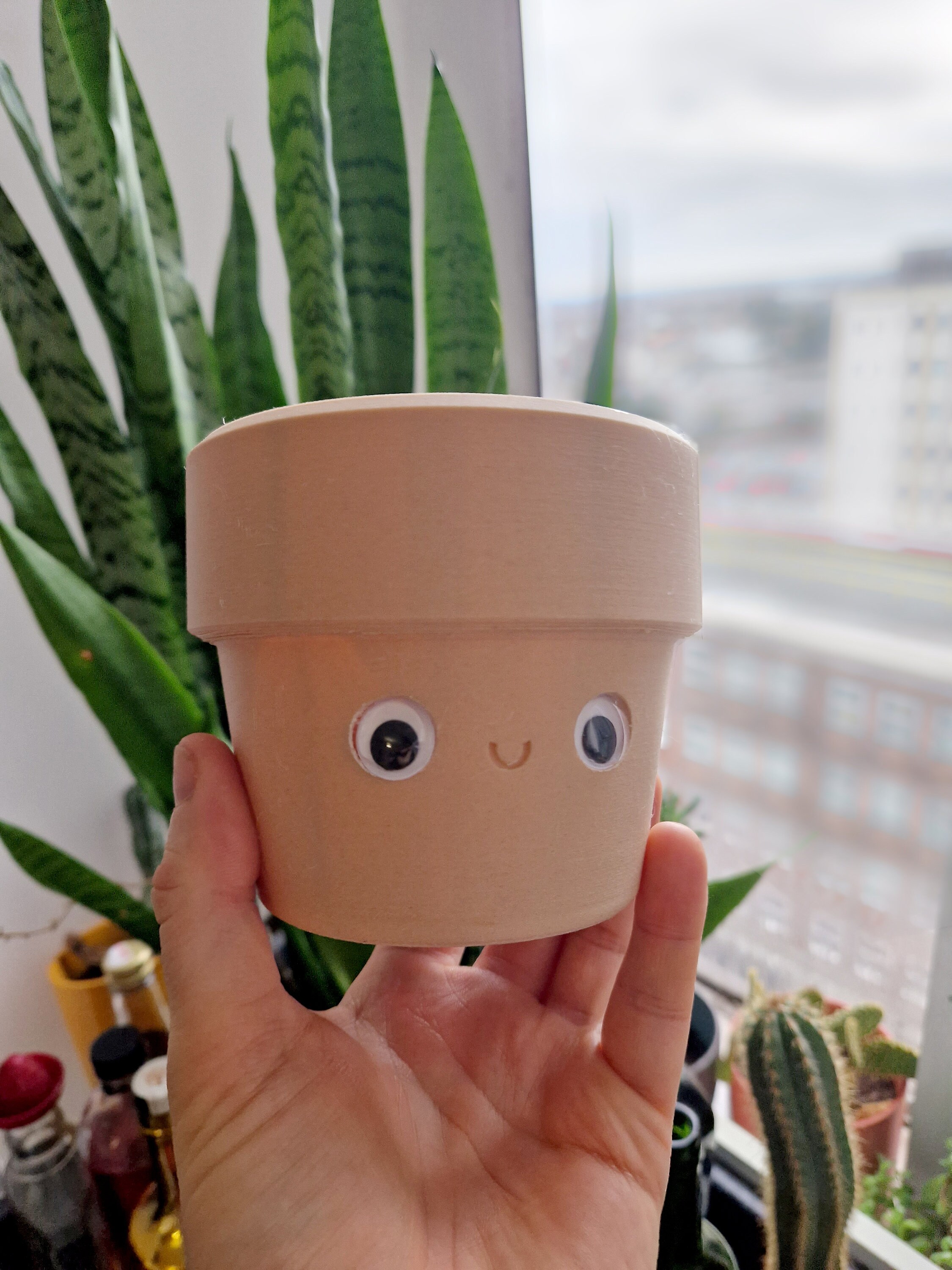 Googly Eyes Planter | Desk Tidy, Smiling Face Cactus Pot - Etsy UK